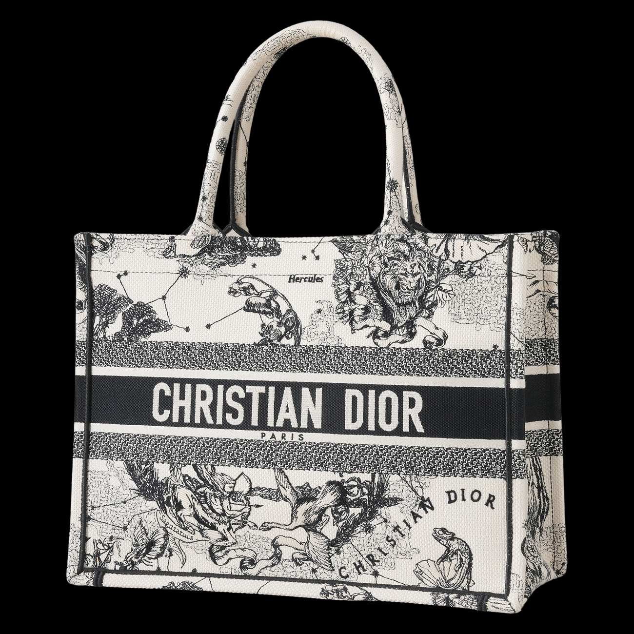 CHRISTIAN DIOR(USED)디올 조디악 북토트 미듐